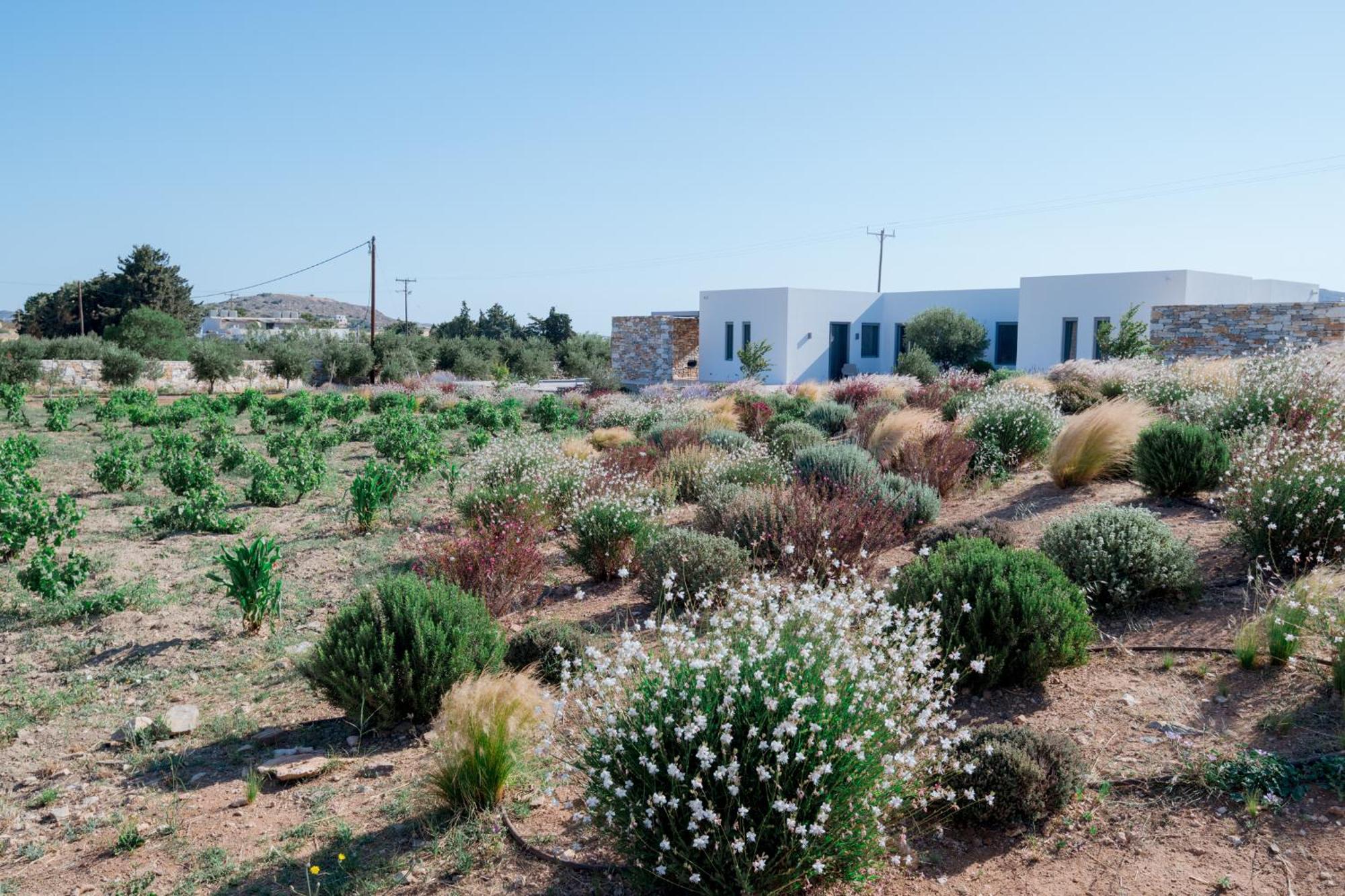 Villa Bracket House Paros Dhragoulas Exterior foto